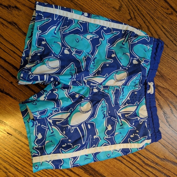 Boys 4T swim trunks - Picture 1 of 1